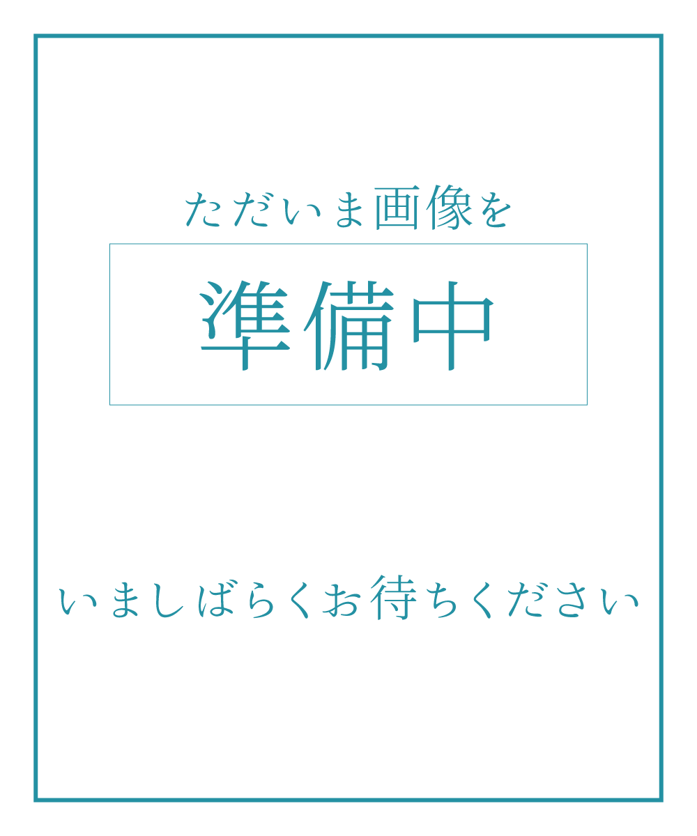 【半幅帯】墨流しの風　白虎 JR