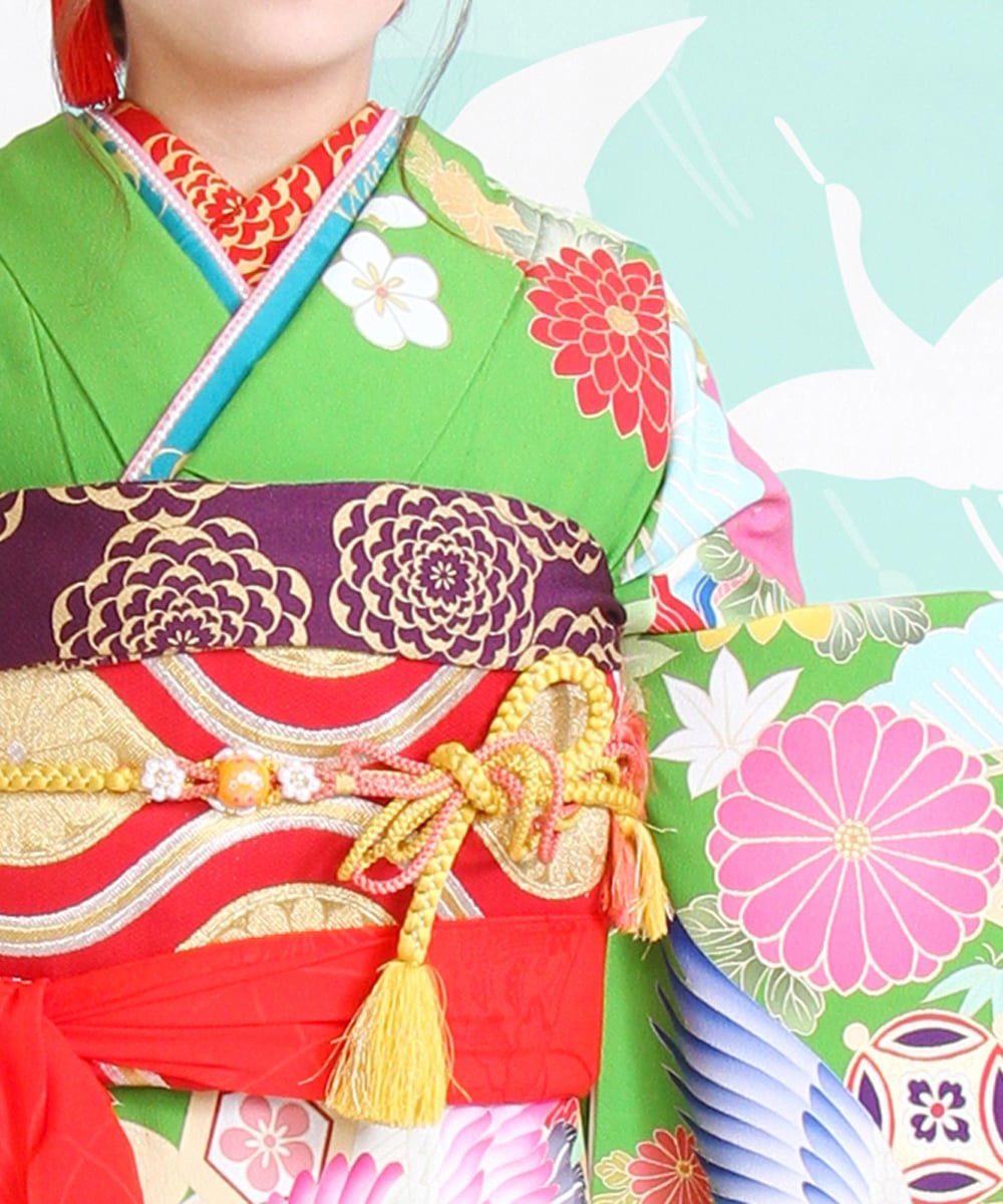 鶴と吉祥紋様が描かれた振袖